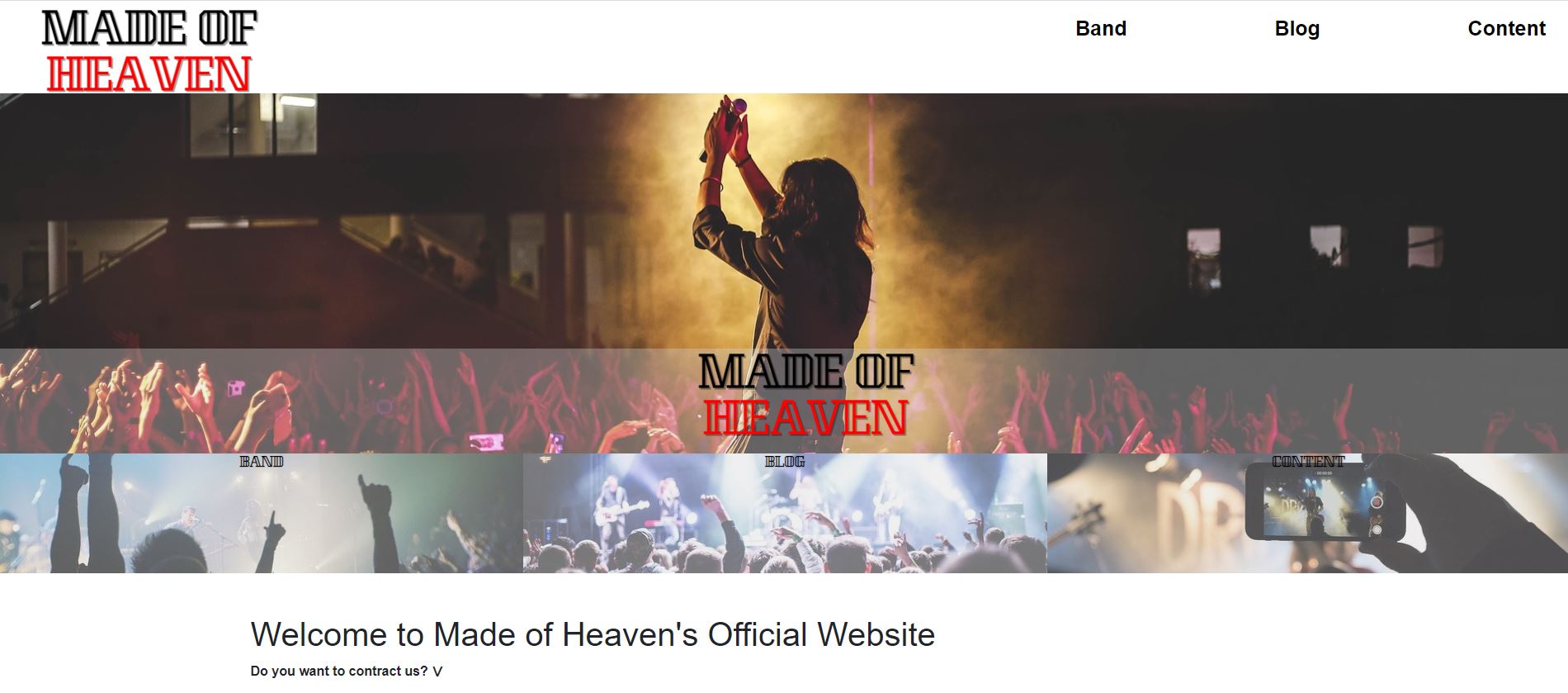 Music Group Website (University Task)image