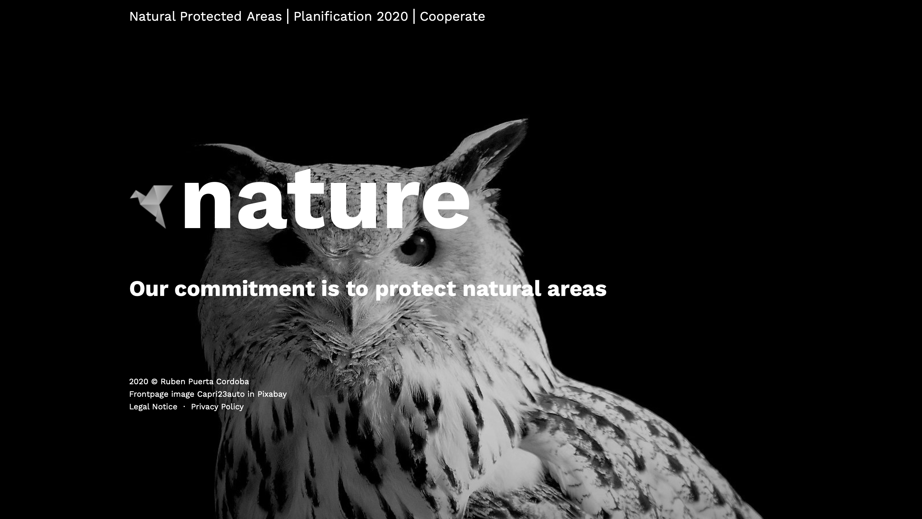 NGO Website (University Task)image